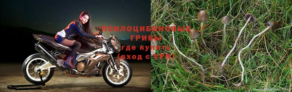 первитин Нея
