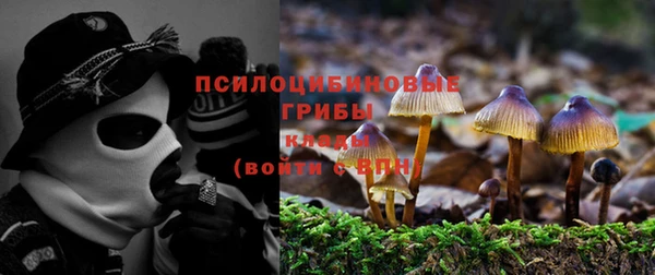 прущая мука Алапаевск