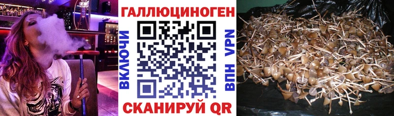 Галлюциногенные грибы ЛСД  Почеп 